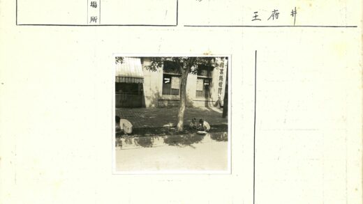 树旁孩童与瓷砖走道.jpg