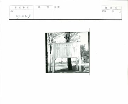 树木栅栏背景文字板.jpg