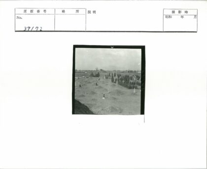 树木环绕的土丘墓碑墓地景观.jpg
