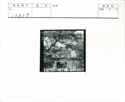 树木环绕的现代建筑入口人群.jpg