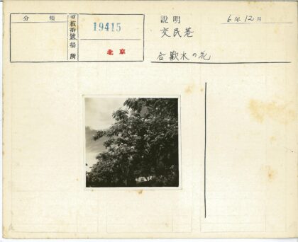 树木花朵多云天空黑白照.jpg