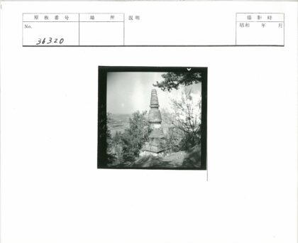 树林中的层叠建筑风景.jpg
