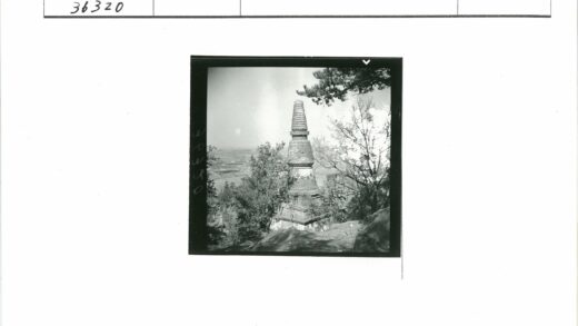 树林中的层叠建筑风景.jpg