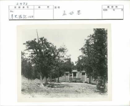 树林中的神秘小门景观.jpg