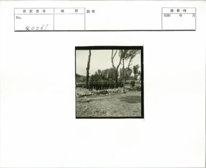 树林岩石间的人群队形.jpg