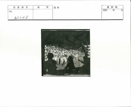 树林集会人群剪影.jpg