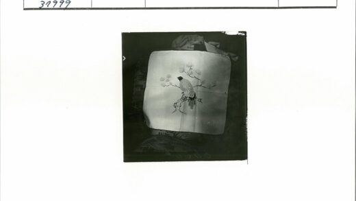 树枝鸟纹饰布椅照片.jpg