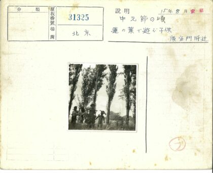 树荫下三孩童草地嬉戏.jpg