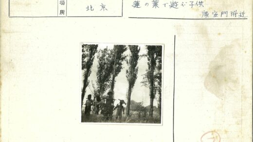 树荫下三孩童草地嬉戏.jpg