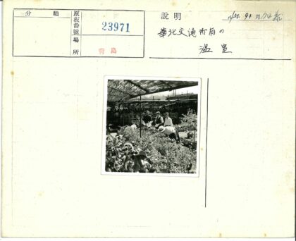 树荫下园艺护理.jpg