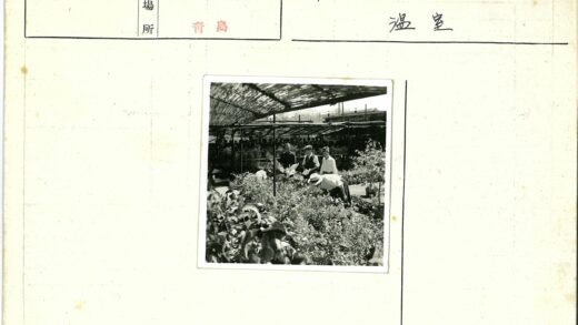 树荫下园艺护理.jpg