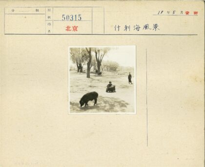 树荫下孩童与猪嬉戏.jpg