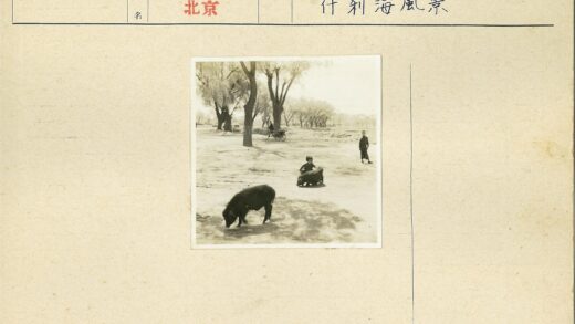 树荫下孩童与猪嬉戏.jpg