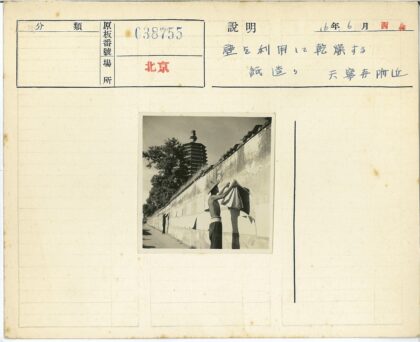 树荫下宝塔前贴海报.jpg