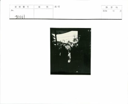 树荫下市场阳光商品展示.jpg