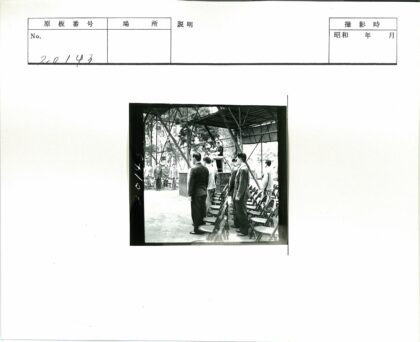 树荫下演讲会现场.jpg