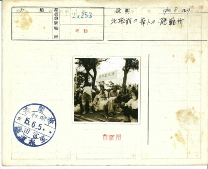 树荫下的人群与婴儿.jpg