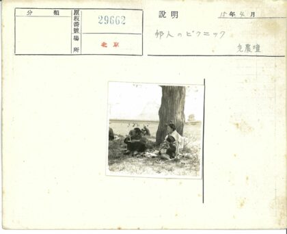 树荫下野餐与宝塔风景.jpg
