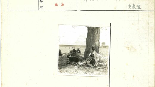 树荫下野餐与宝塔风景.jpg