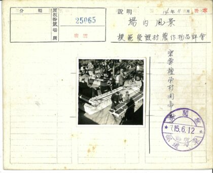 树荫下阅读时光.jpg