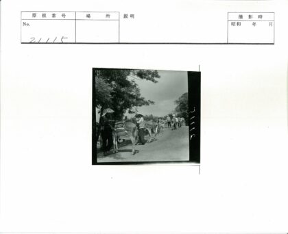 树荫下驴群与路人.jpg