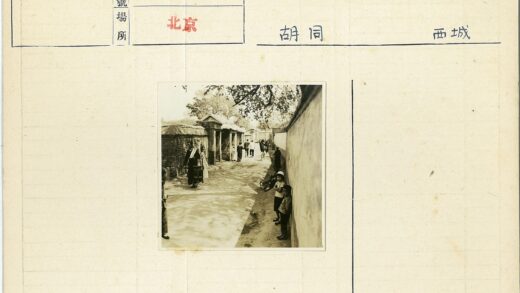 树荫下骑自行车的女人.jpg