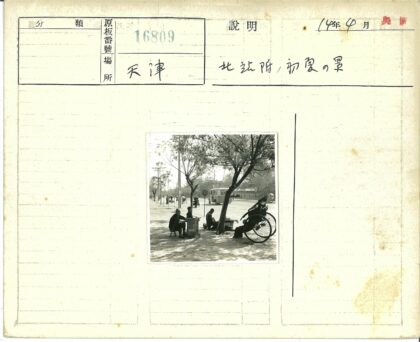 树荫下黄包车与公交街景.jpg