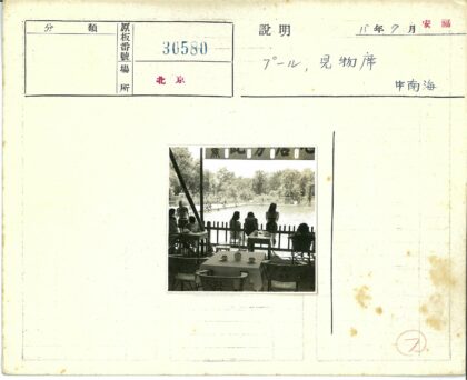 树荫茶聚俯瞰泳池景.jpg