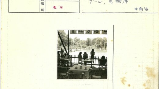 树荫茶聚俯瞰泳池景.jpg