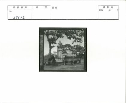 树荫长椅与大楼背影.jpg