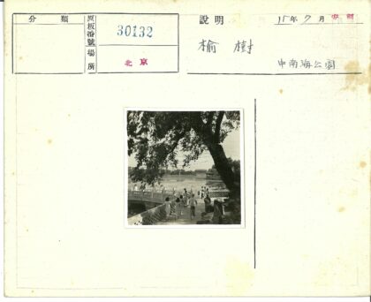 桥边小径树影建筑水景.jpg