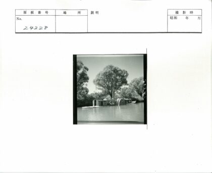 桨轮汽船停泊绿荫河岸.jpg
