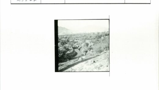 梯田丘陵小路自然景观.jpg