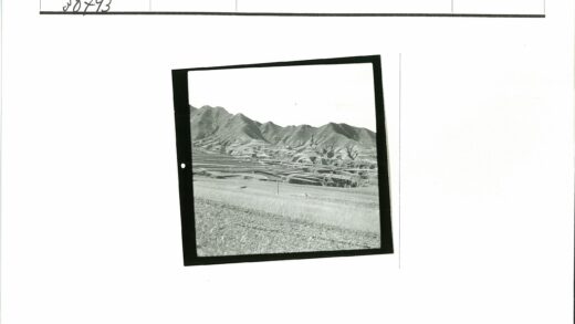 梯田丘陵黑白风景.jpg