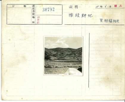 梯田云海山坡景观.jpg