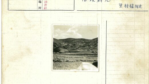 梯田云海山坡景观.jpg