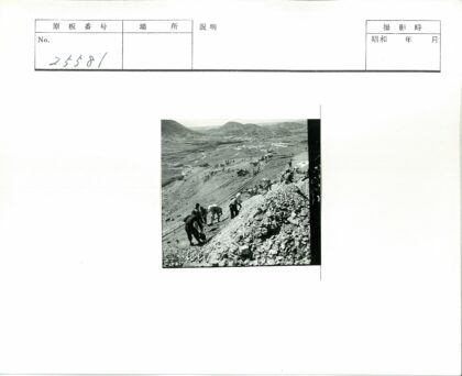 梯田山坡上的劳作人群.jpg