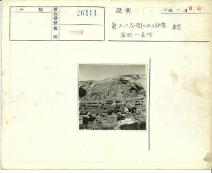 梯田山坡下的传统屋顶建筑.jpg
