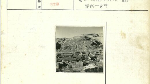 梯田山坡下的传统屋顶建筑.jpg