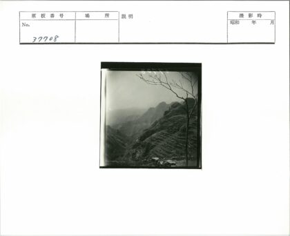 梯田枯枝山地风光.jpg