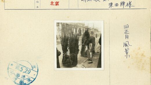 检查建筑物树枝捆的人.jpg