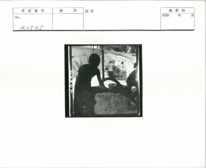 棉农劳作与丰收景象.jpg