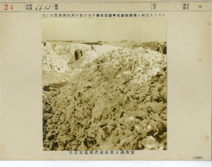 棉花堆户外劳作场景.jpg