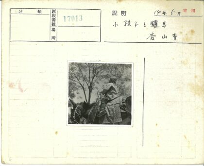 棉被骑骡树下行.jpg