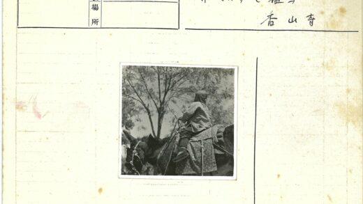 棉被骑骡树下行.jpg