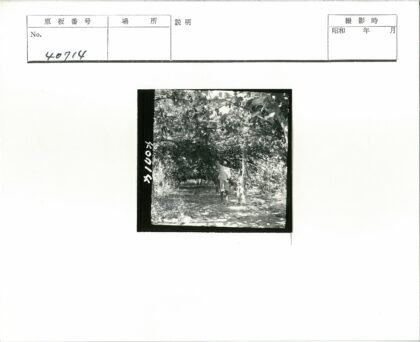 森林中戴帽人伸手特写.jpg