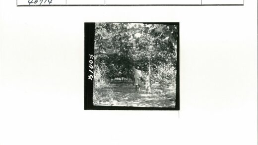 森林中戴帽人伸手特写.jpg