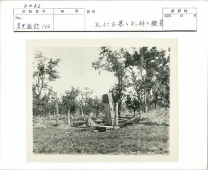 森林中的倾斜石柱晴空.jpg