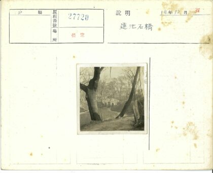 森林小溪石拱桥.jpg