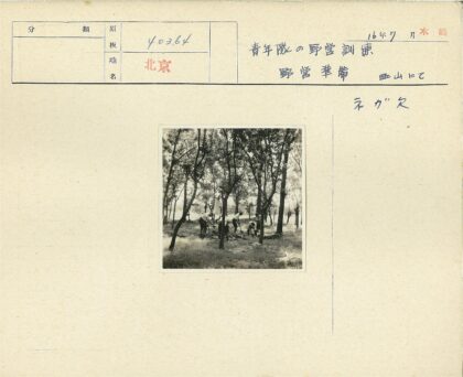 森林工人使用铁锹劳作.jpg